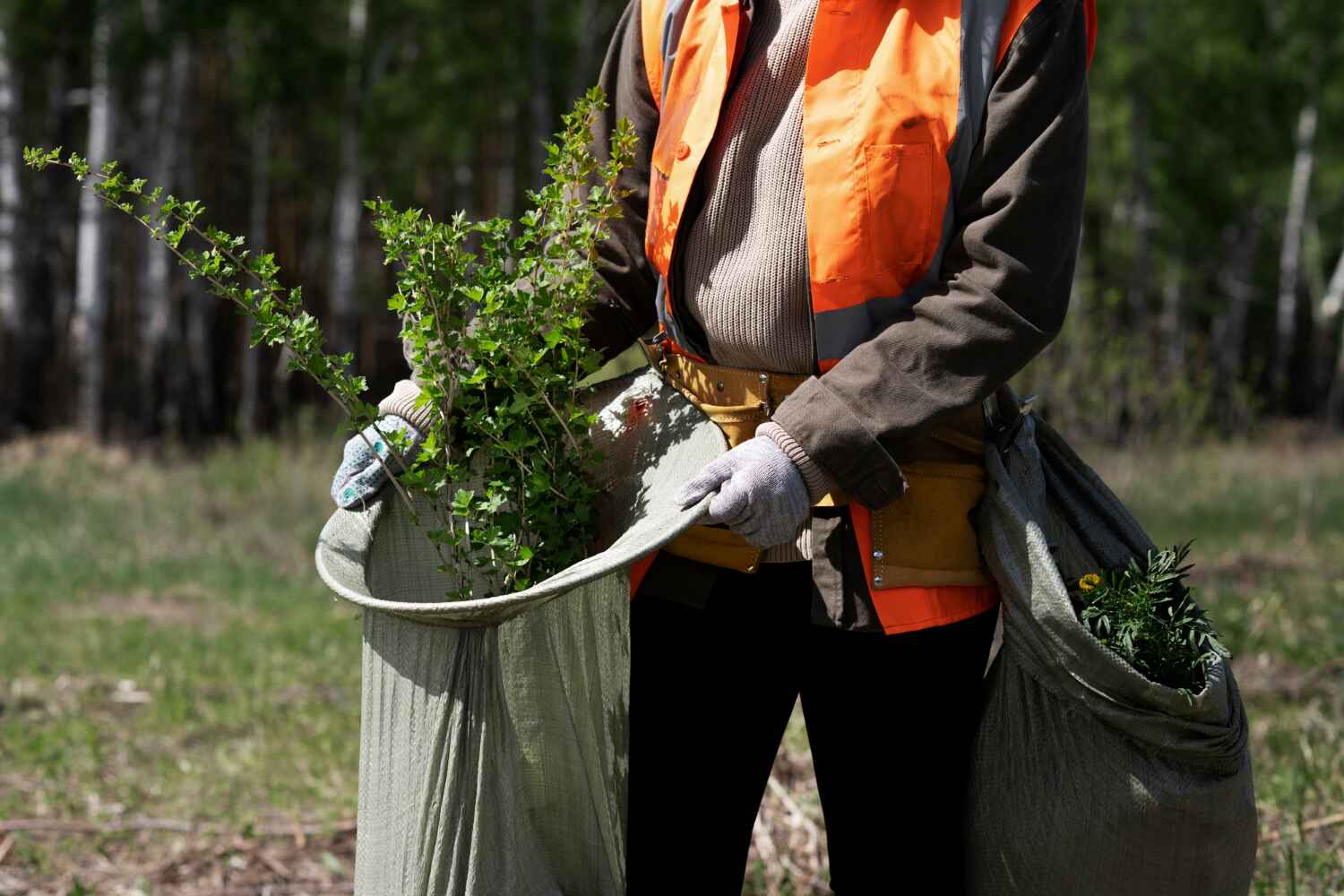 Tree Removal for Businesses in Riverside, UT